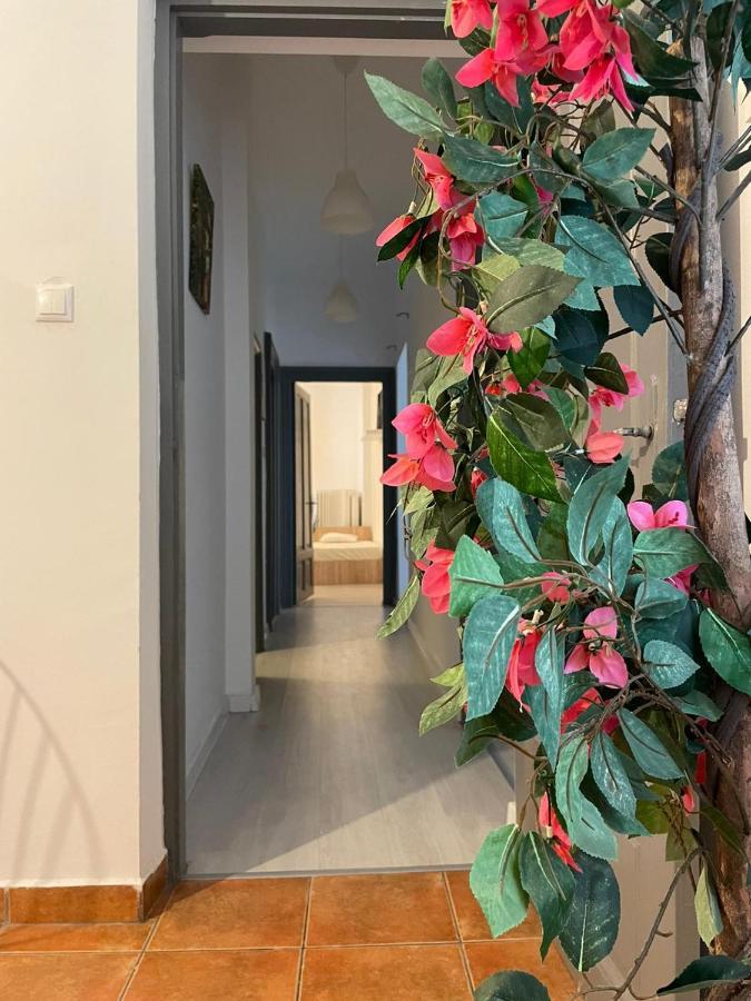 Outstanding 3Br Ultracentral Cityview Balcony Aaa Apartment Bukares Bagian luar foto